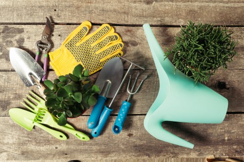 Tree felling service in Tufnellpark with careful site assessment and removal planning