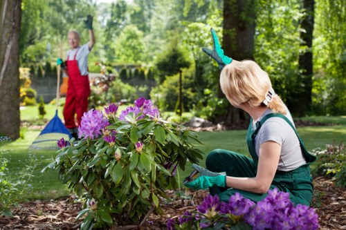 Emergency preparedness and review process for arboricultural safety