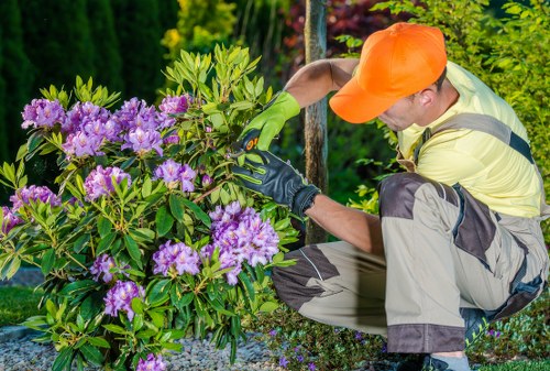 Tree surgeon reviewing a customer complaint with notes and site documents