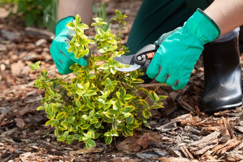 Tree surgery safety controls and equipment checks on site