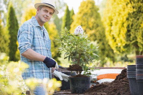 Professional tree surgeon completing a complaints procedure report